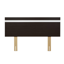 Respaldo Morena Horizontal - Ricchezze