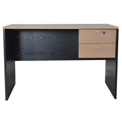 Escritorio 1.20m 502 - Platinum