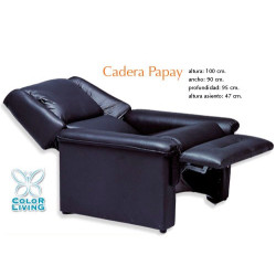 Sillón Cadera Papay - Color Living