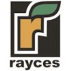 Rayces
